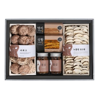 ���� ��  ȫ�� ���� ǥ��ȥ�ռ�Ʈ  �鼼