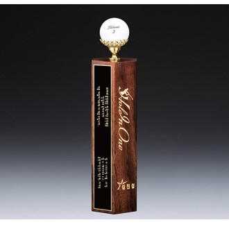 [Ʈ����] ������� ��Ż ������ TR50 �������� �̱� Ȧ�ο� Ʈ����