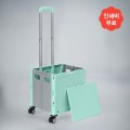 �ٴ�� ���� ���̽� ����īƮ(35L) (��Ʈ)