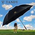�ĵ� ���� ī�� ���� ���� ����
